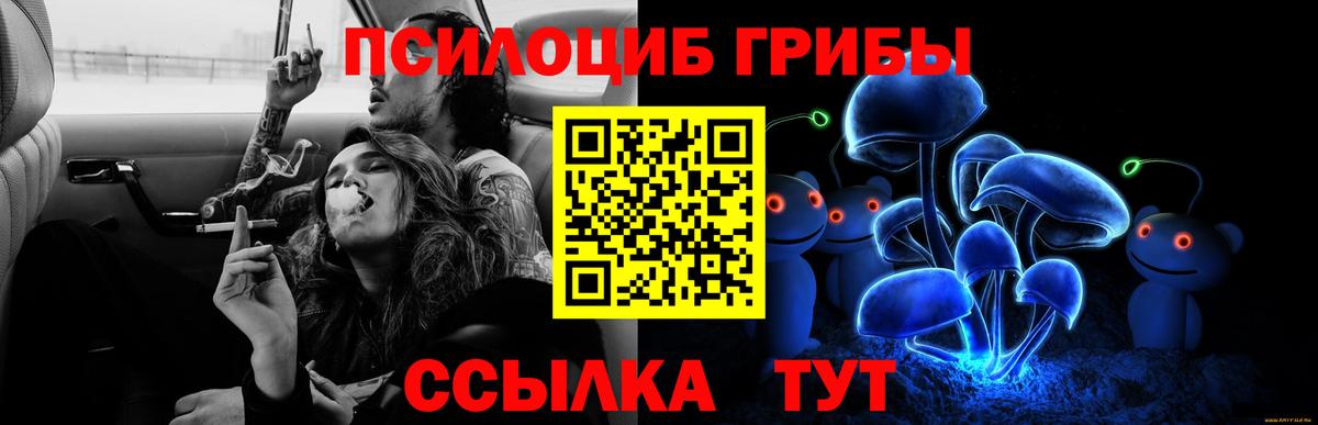 Псилоцибиновые грибы Magic Shrooms  Галлюциногенные грибы Magic Shrooms  Вход с VPN  Братск 
